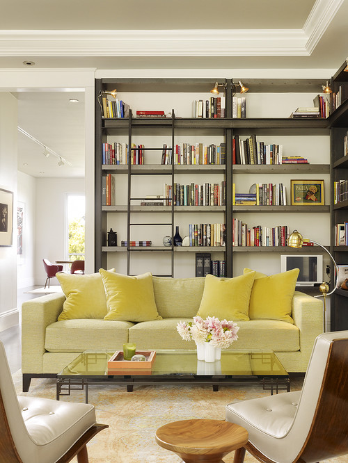 Living room / Library modern living room