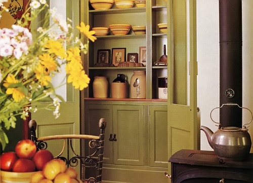 green pantry traditional kitchen