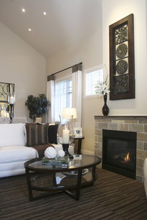 Fireplace contemporary living room