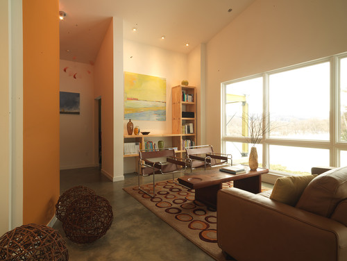 contemporary living room by Birdseye Design