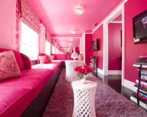 Pink Designs modern living room