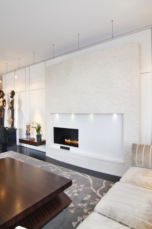 Dakota Fireplace contemporary living room