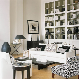 Black & White living room contemporary living room