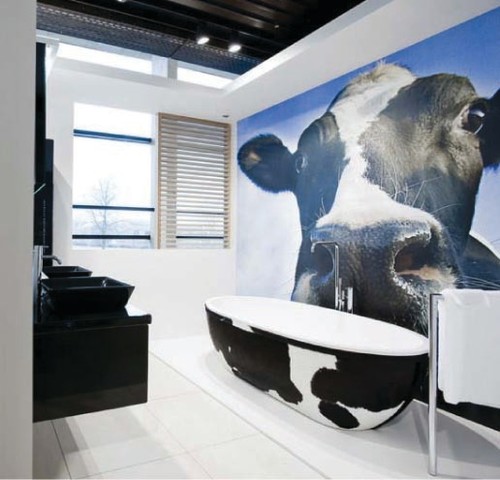 Stone One Cow eclectic bathroom
