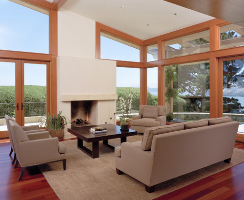 Marin Residence contemporary living room