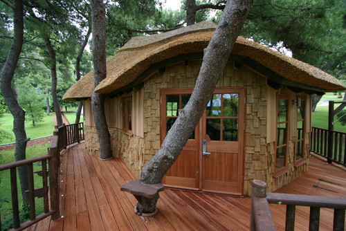Blue Forest Tree House eclectic exterior
