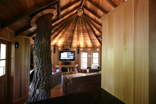 Blue Forest Tree House eclectic living room