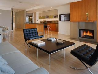 STUDIO SARAH WILLMER :: SAN FRANCISCO modern living room