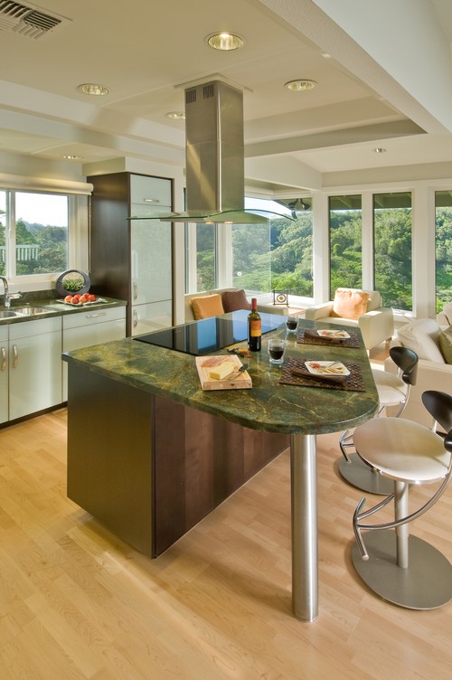 A Room With A View contemporary kitchen