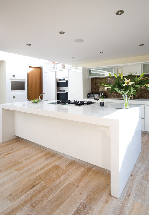 White Kitchen contemporary kitchen
