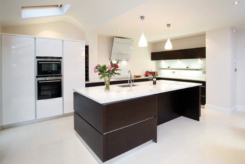 Wenge and White contemporary kitchen