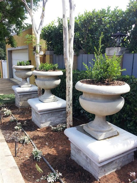 my own backyard -entry