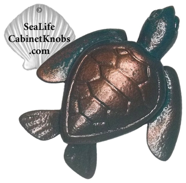 Coastal Knobs Beach Style orlando by Sea Life