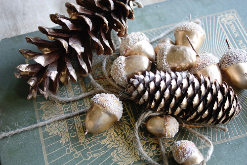 Spraying pine cones with white paint can help make excellent winter decorations pine cones and acorns dusted with white spraypaint
