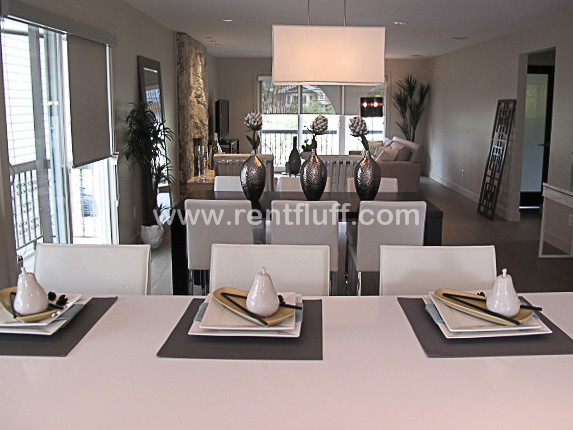 2659 - East Vancouver home contemporary-kitchen