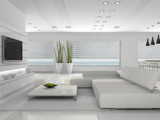 designer roller blinds