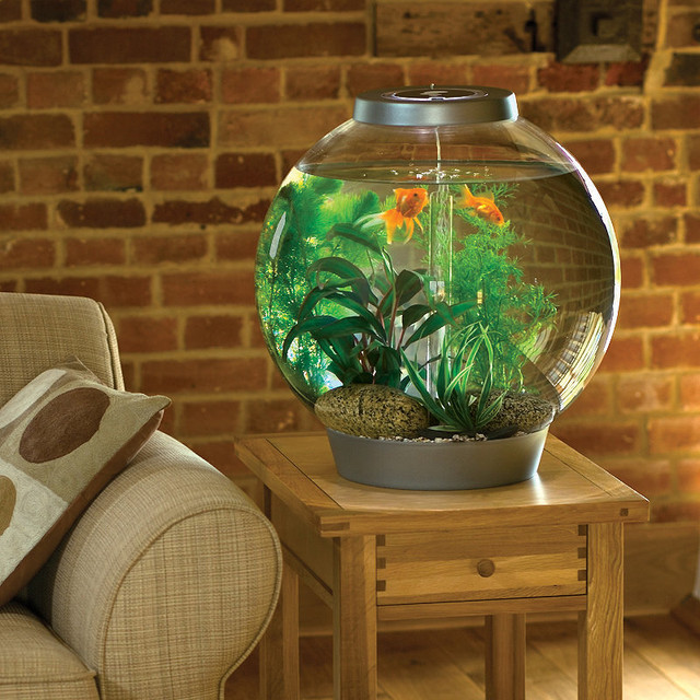 BiOrb 8gallon Aquarium Traditional Fish Supplies by FRONTGATE