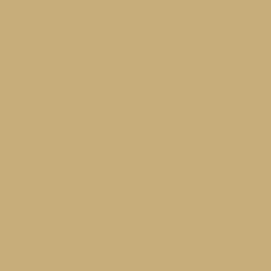 Paint Color Sw 2813 Downing Straw From Sherwin-williams - Paint 