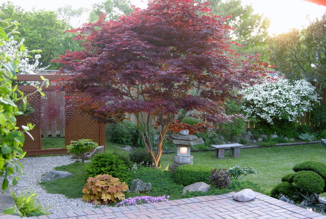 garden designs for zone 4 Japanese Maple Tree Garden Design | 640 x 430