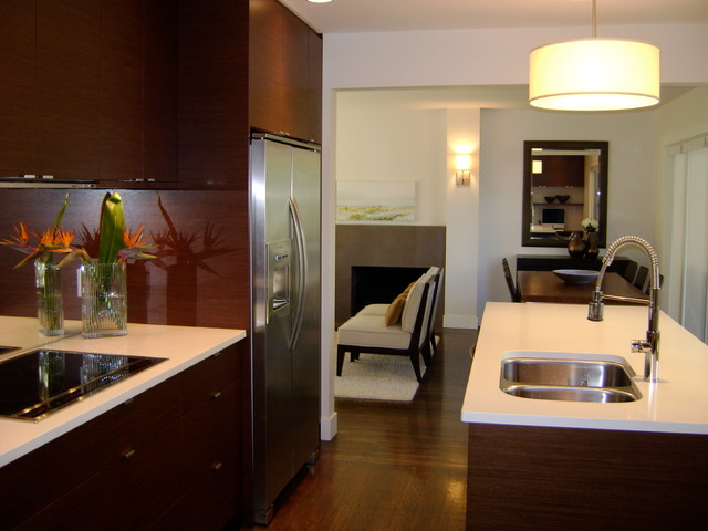 King Edward Street Residence - Kitchen contemporary kitchen