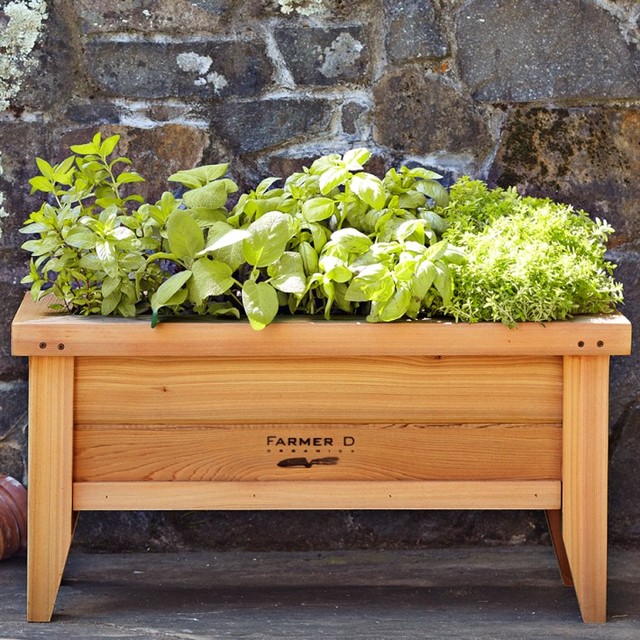 Farmer D Cedar Urban Planter WilliamsSonoma