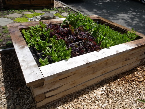 How to Build a Raised Bed for Your Veggies and Plants 2