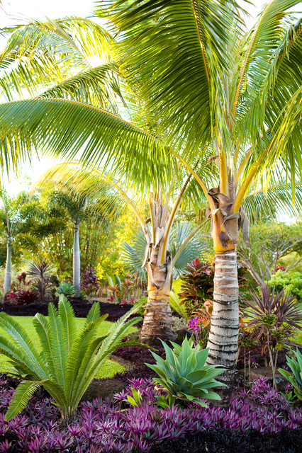 LOTUS RIDGE - Tropical - Landscape - hawaii - by Designscape Inc.
