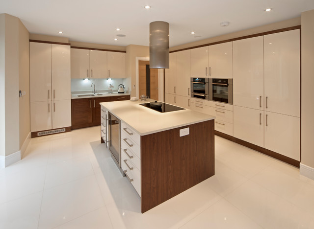 Kitchens In London Ontario - Contemporary - Kitchen - other metro - by