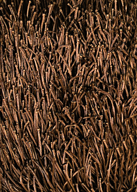Metallic Shag - Rugs - orange county - by Hemphills Rugs & Carpets