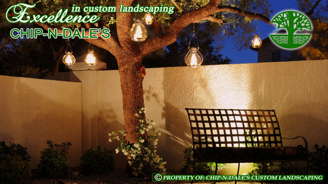 CHIP-N-DALES CUSTOM LANDSCAPING SEATING AREAS contemporary patio