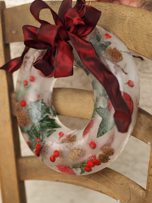 Ice Wreath An Ice Wreath with Cranberries and Pine Cones