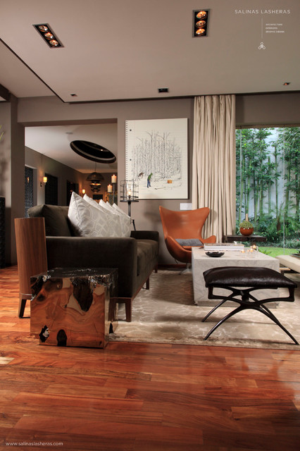 Alerces Residence by Salinas Lasheras contemporary-living-room