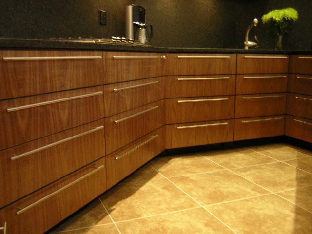 Black Walnut Kitchen modern-kitchen