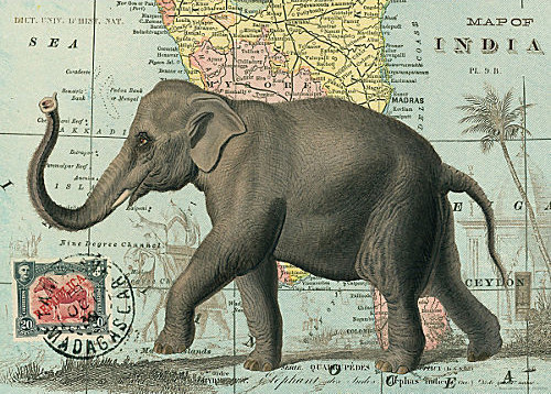 Shooting an Elephant Essay