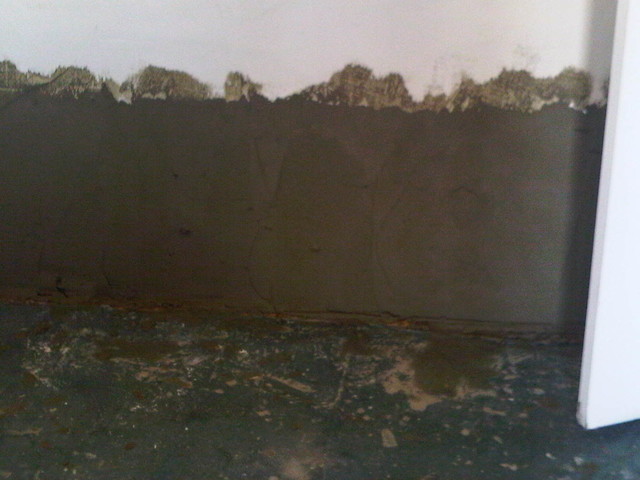 d proofing project rising d laminate flooring d proofing project rising d laminate flooring