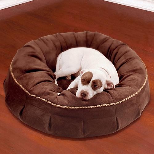 Pet Beds