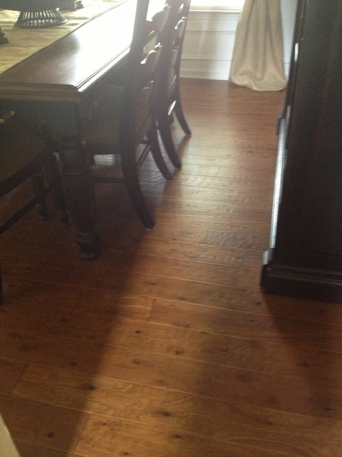 Old World Chisel - Coronado Eucalyptus (formerly Richmond) traditional-