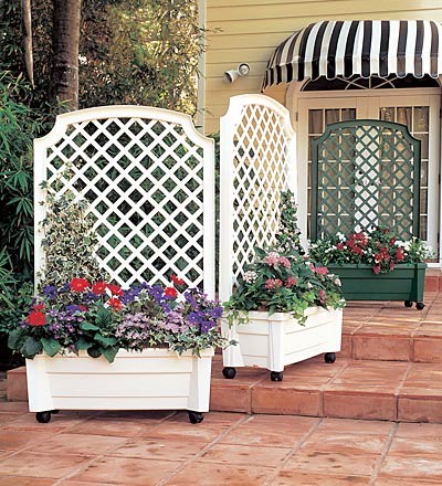 Flower Pots and Planters