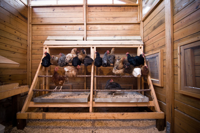 Chicken Coop Design Interior Image from http://chickencooppictures.org ...