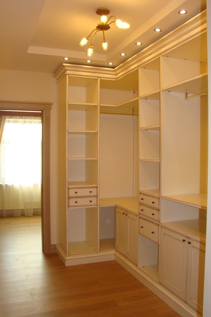 Experiments in art Nouveau style traditional closet