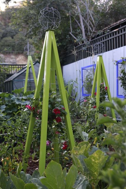 French Tuteur Trellis Plans DIY Free Download Diy 