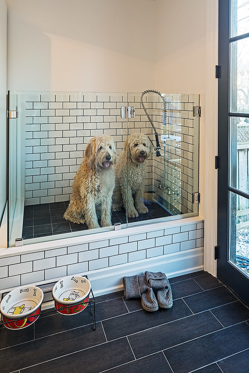 Pet shower big enough for two pooches to get pretty.