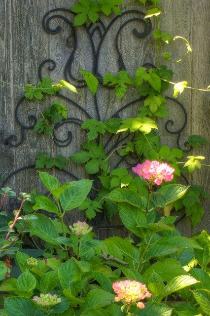 Private Residence - Steveston traditional-landscape