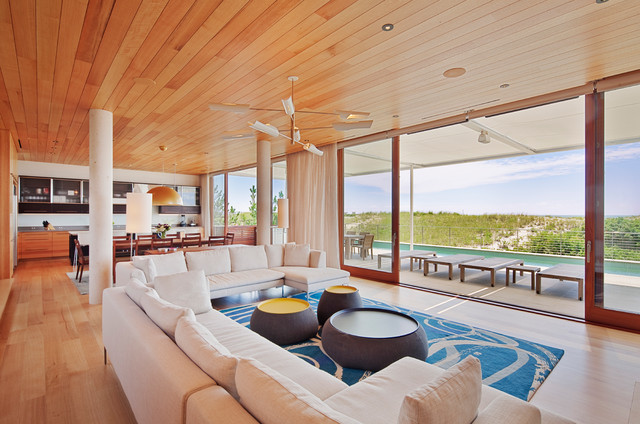 Hamptons Beach House contemporary-living-room