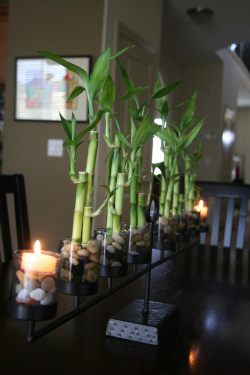 lucky bamboo arrangement dining table 