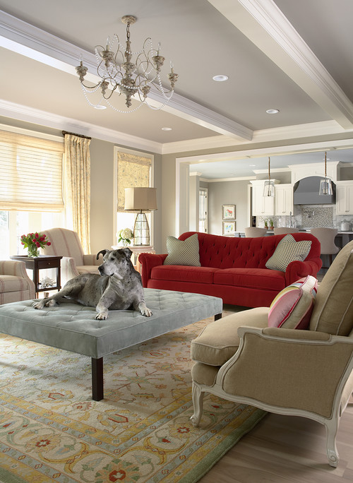 dog friendly living room design