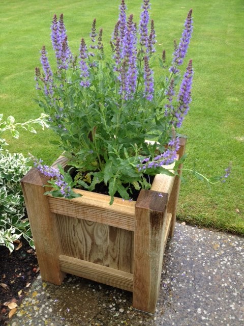 Garden Trellis Direct Products - Modern - Outdoor Pots And Planters