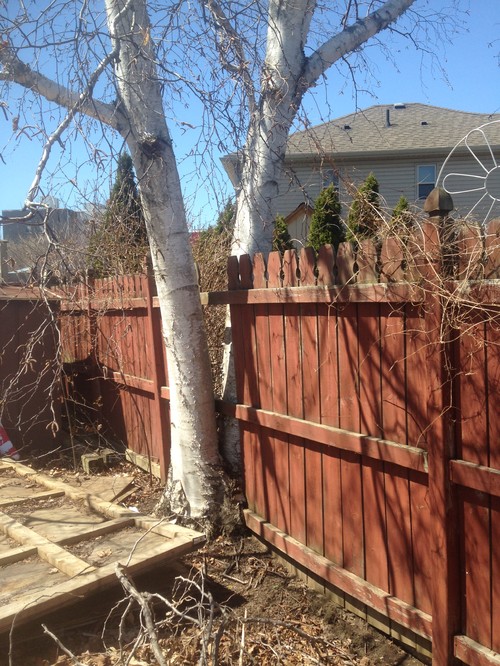 How To Build A Garden Fence  Apps Directories