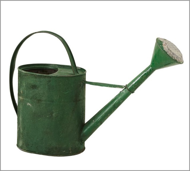 PB Found Watering Can Traditional Watering Cans by Pottery Barn