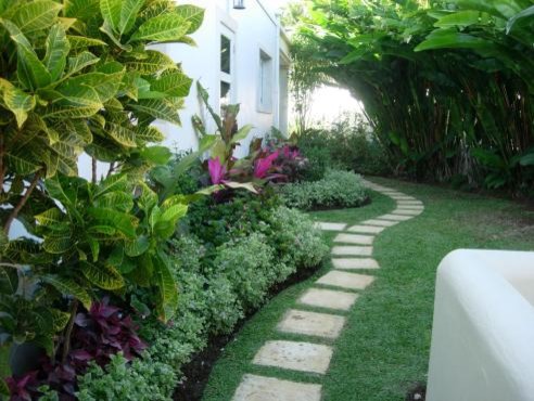 Tropical Landscaping Gardens